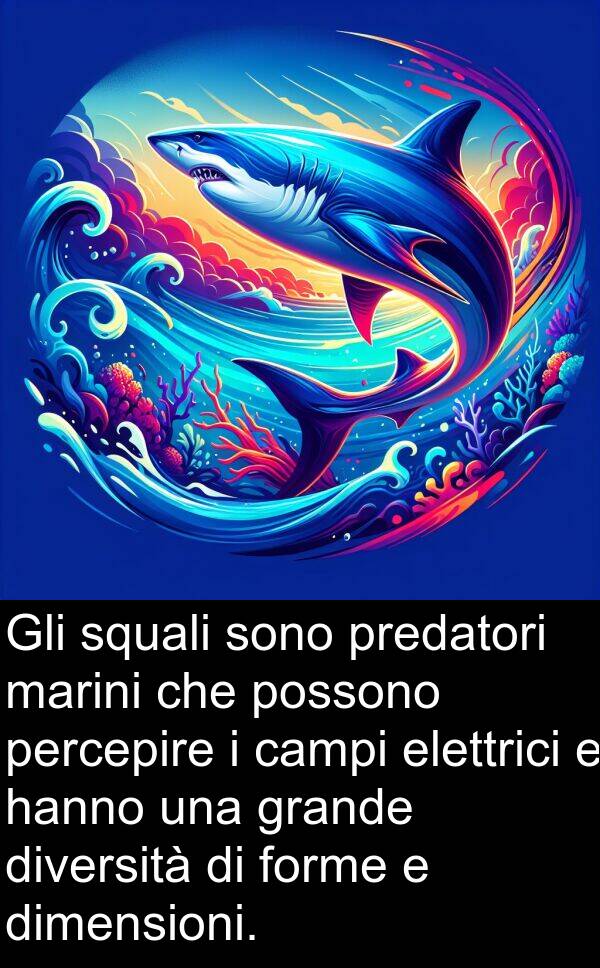 predatori: Gli squali sono predatori marini che possono percepire i campi elettrici e hanno una grande diversità di forme e dimensioni.