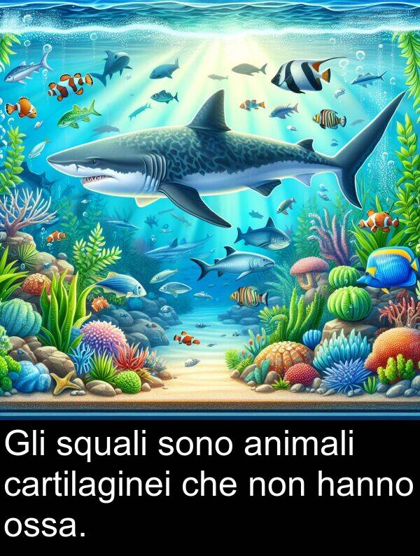 non: Gli squali sono animali cartilaginei che non hanno ossa.