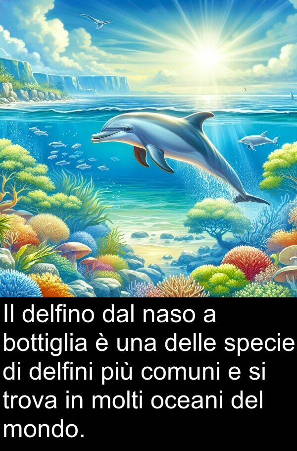 naso: Il delfino dal naso a bottiglia è una delle specie di delfini più comuni e si trova in molti oceani del mondo.