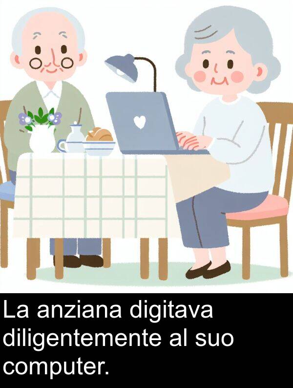 suo: La anziana digitava diligentemente al suo computer.