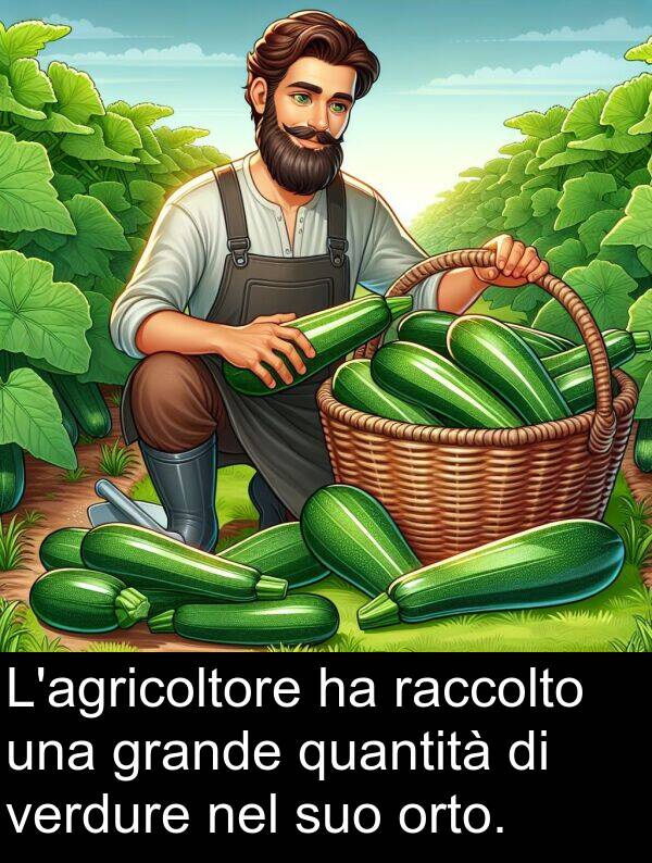 orto: L'agricoltore ha raccolto una grande quantità di verdure nel suo orto.