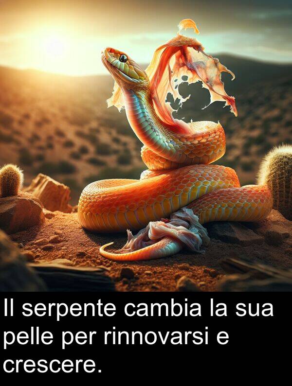 cambia: Il serpente cambia la sua pelle per rinnovarsi e crescere.