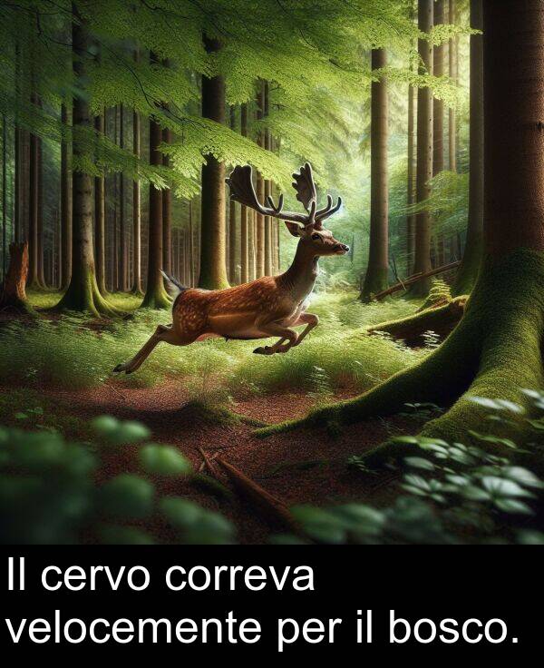 velocemente: Il cervo correva velocemente per il bosco.