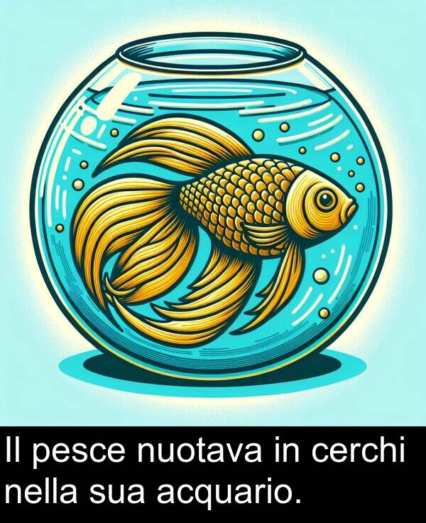 acquario: Il pesce nuotava in cerchi nella sua acquario.