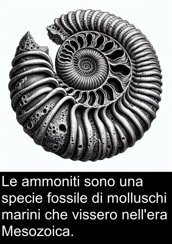 marini: Le ammoniti sono una specie fossile di molluschi marini che vissero nell'era Mesozoica.