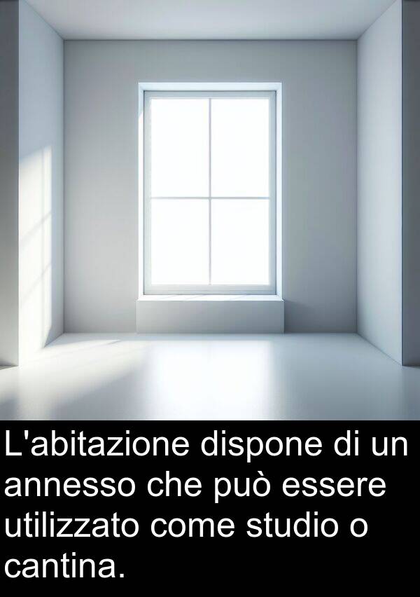 cantina: L'abitazione dispone di un annesso che può essere utilizzato come studio o cantina.