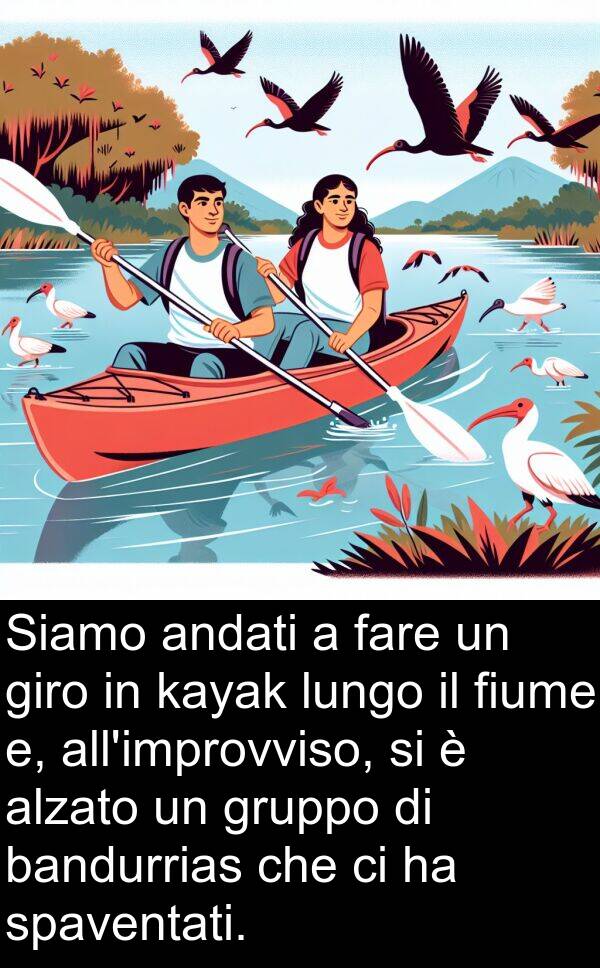 giro: Siamo andati a fare un giro in kayak lungo il fiume e, all'improvviso, si è alzato un gruppo di bandurrias che ci ha spaventati.