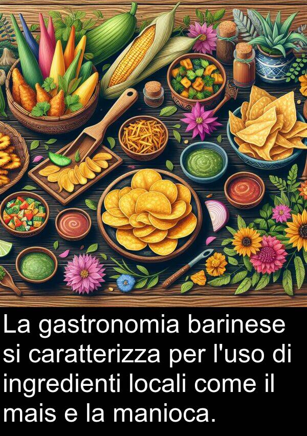 gastronomia: La gastronomia barinese si caratterizza per l'uso di ingredienti locali come il mais e la manioca.