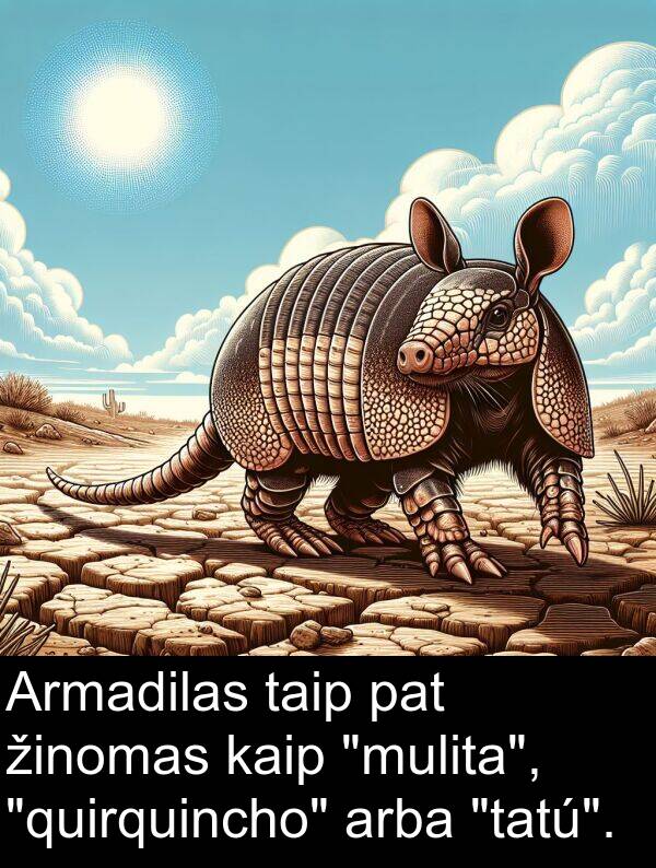 taip: Armadilas taip pat žinomas kaip "mulita", "quirquincho" arba "tatú".