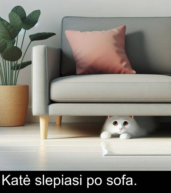 slepiasi: Katė slepiasi po sofa.