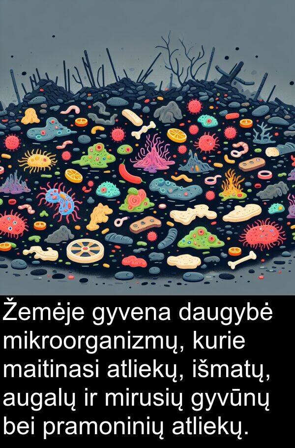 maitinasi: Žemėje gyvena daugybė mikroorganizmų, kurie maitinasi atliekų, išmatų, augalų ir mirusių gyvūnų bei pramoninių atliekų.