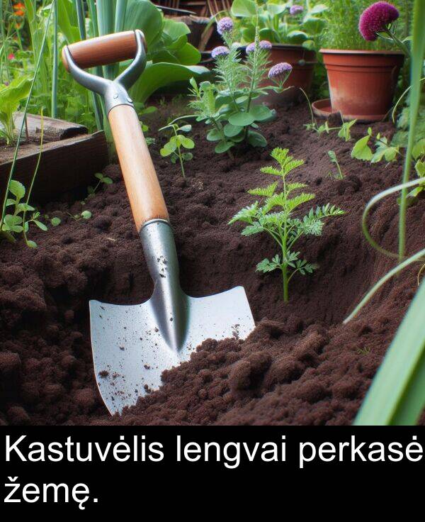 žemę: Kastuvėlis lengvai perkasė žemę.