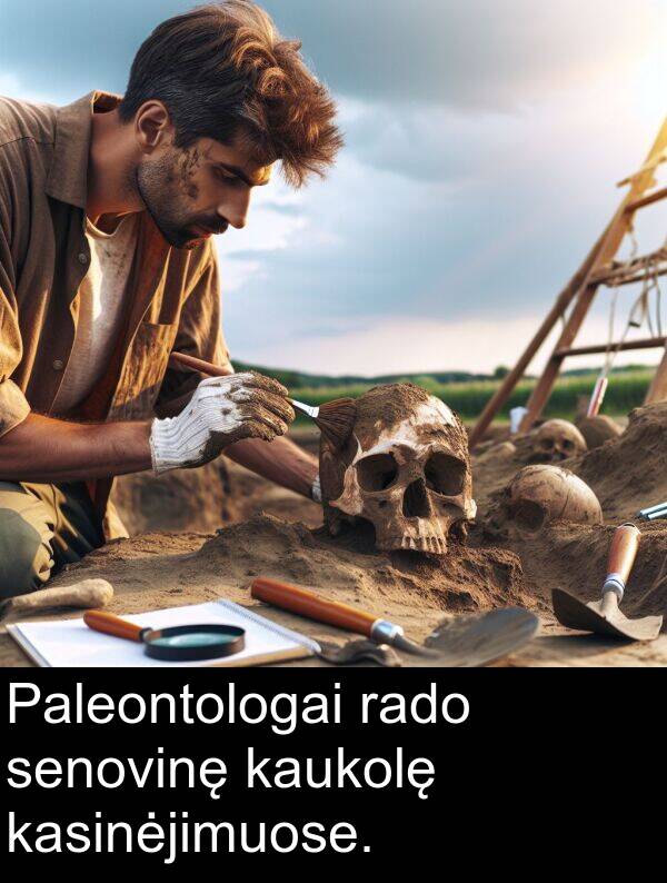 rado: Paleontologai rado senovinę kaukolę kasinėjimuose.