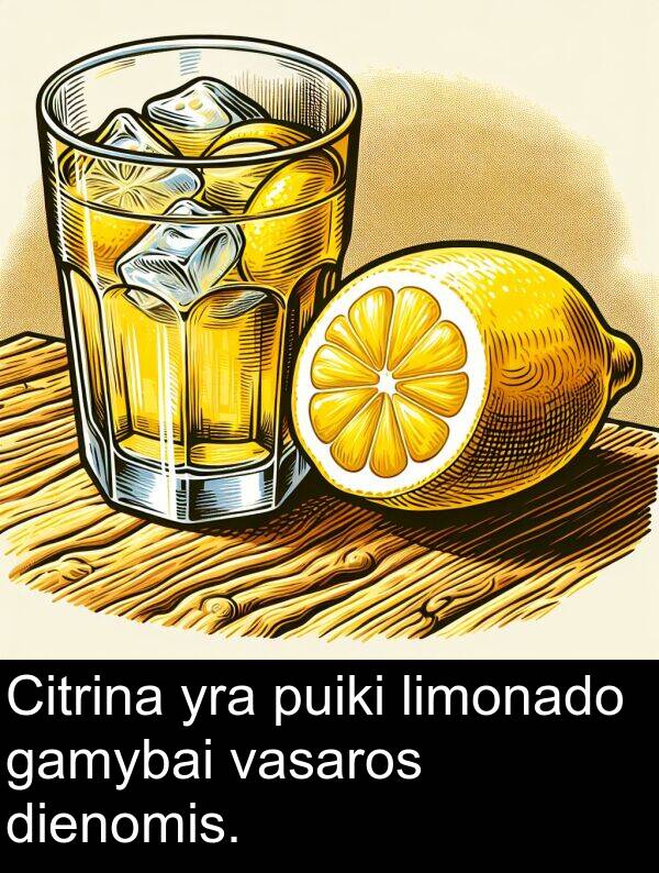 vasaros: Citrina yra puiki limonado gamybai vasaros dienomis.