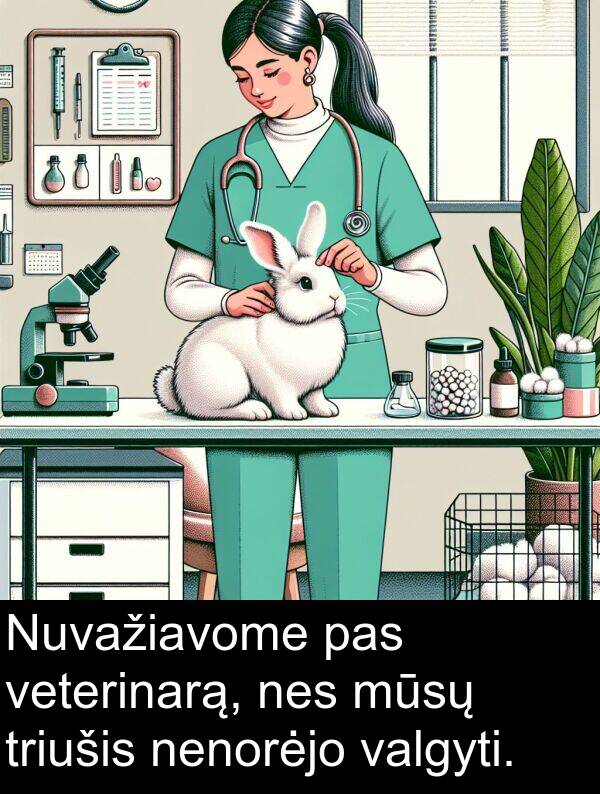 pas: Nuvažiavome pas veterinarą, nes mūsų triušis nenorėjo valgyti.