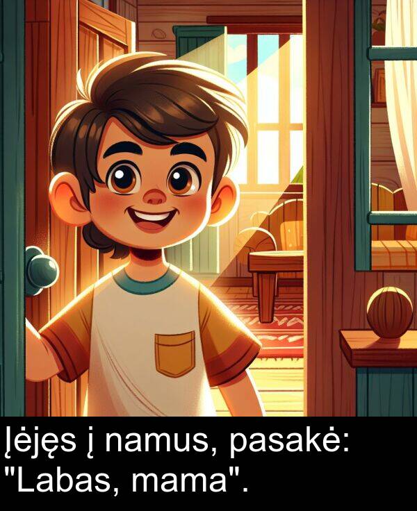 namus: Įėjęs į namus, pasakė: "Labas, mama".