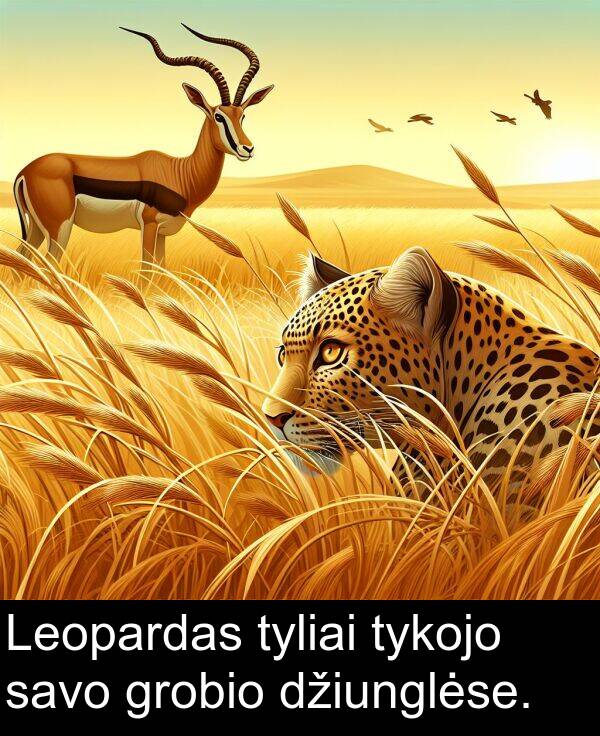 džiunglėse: Leopardas tyliai tykojo savo grobio džiunglėse.