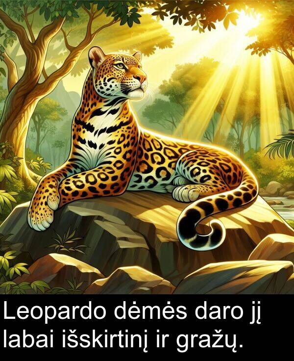 daro: Leopardo dėmės daro jį labai išskirtinį ir gražų.