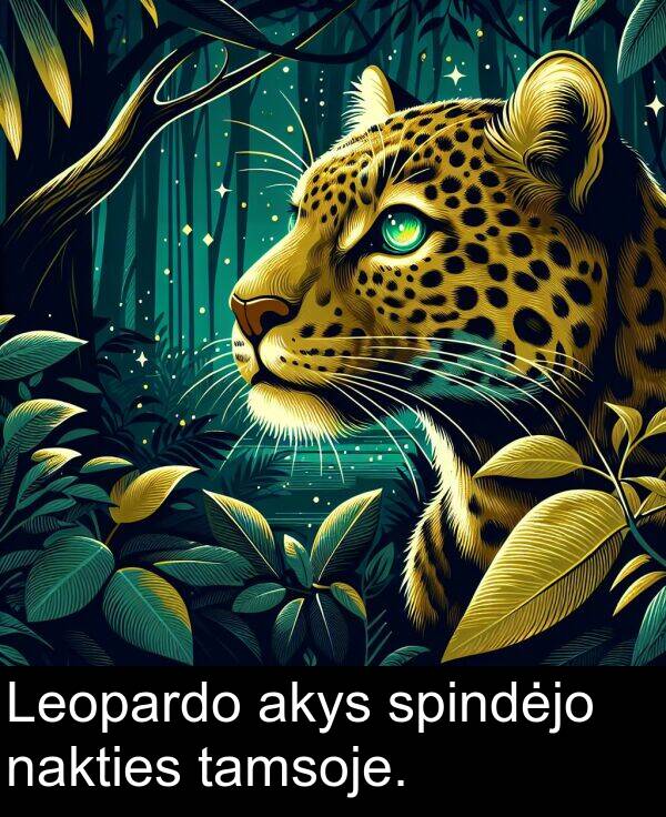 tamsoje: Leopardo akys spindėjo nakties tamsoje.