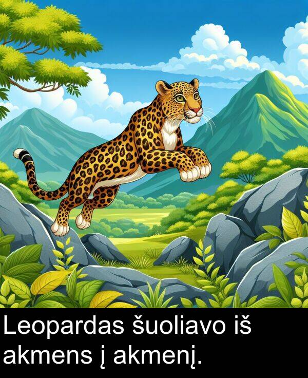 šuoliavo: Leopardas šuoliavo iš akmens į akmenį.