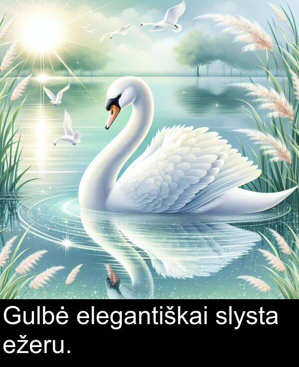 elegantiškai: Gulbė elegantiškai slysta ežeru.