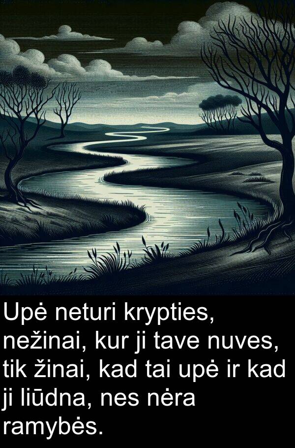 nėra: Upė neturi krypties, nežinai, kur ji tave nuves, tik žinai, kad tai upė ir kad ji liūdna, nes nėra ramybės.