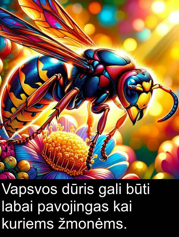 gali: Vapsvos dūris gali būti labai pavojingas kai kuriems žmonėms.