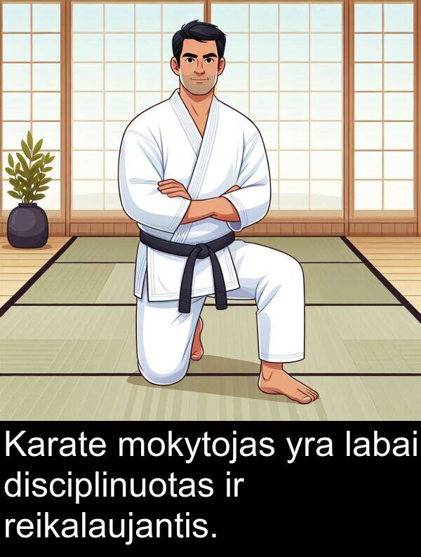 mokytojas: Karate mokytojas yra labai disciplinuotas ir reikalaujantis.