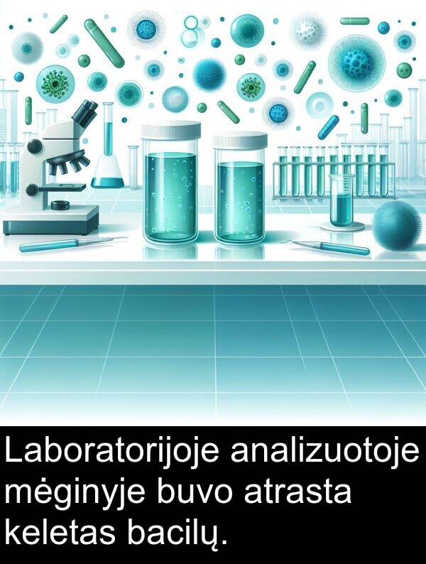 bacilų: Laboratorijoje analizuotoje mėginyje buvo atrasta keletas bacilų.