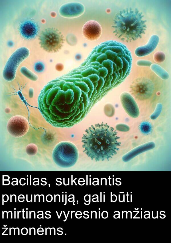 pneumoniją: Bacilas, sukeliantis pneumoniją, gali būti mirtinas vyresnio amžiaus žmonėms.