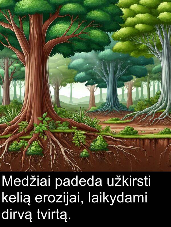 padeda: Medžiai padeda užkirsti kelią erozijai, laikydami dirvą tvirtą.