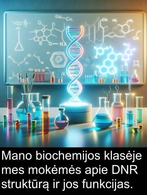 mokėmės: Mano biochemijos klasėje mes mokėmės apie DNR struktūrą ir jos funkcijas.