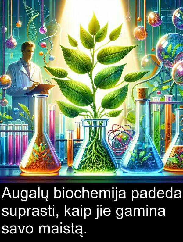 jie: Augalų biochemija padeda suprasti, kaip jie gamina savo maistą.