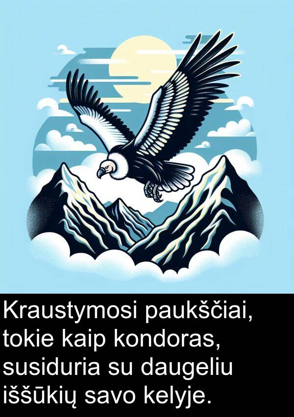 kondoras: Kraustymosi paukščiai, tokie kaip kondoras, susiduria su daugeliu iššūkių savo kelyje.