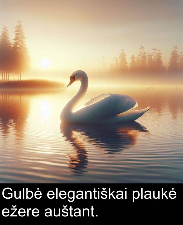 plaukė: Gulbė elegantiškai plaukė ežere auštant.