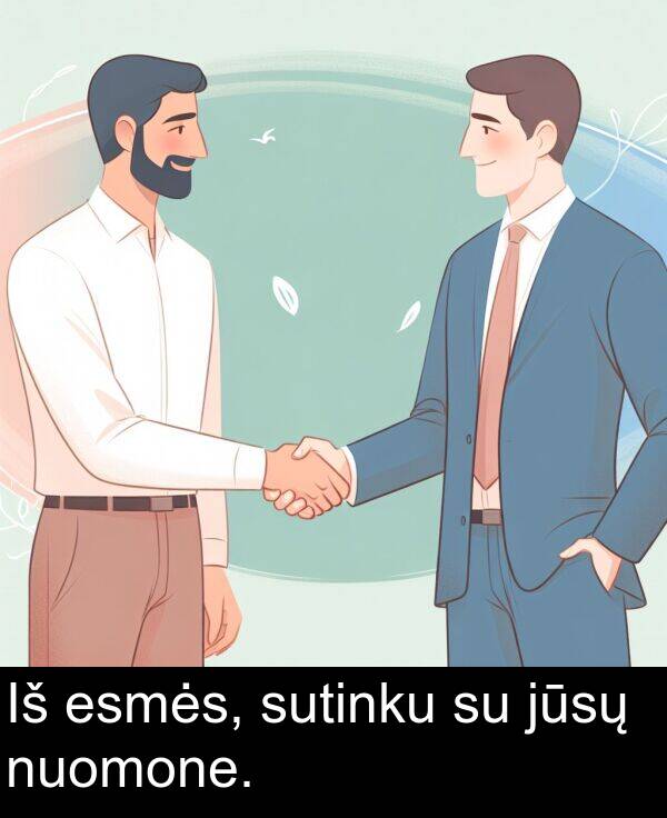 jūsų: Iš esmės, sutinku su jūsų nuomone.