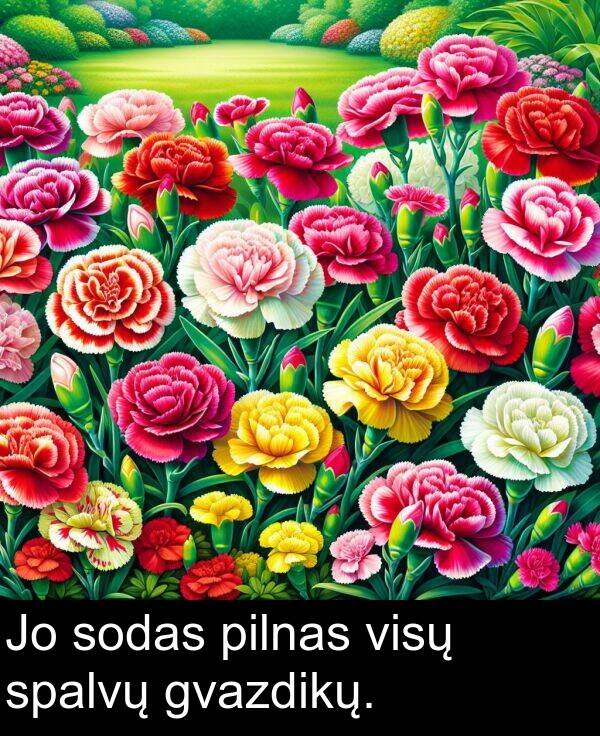 pilnas: Jo sodas pilnas visų spalvų gvazdikų.