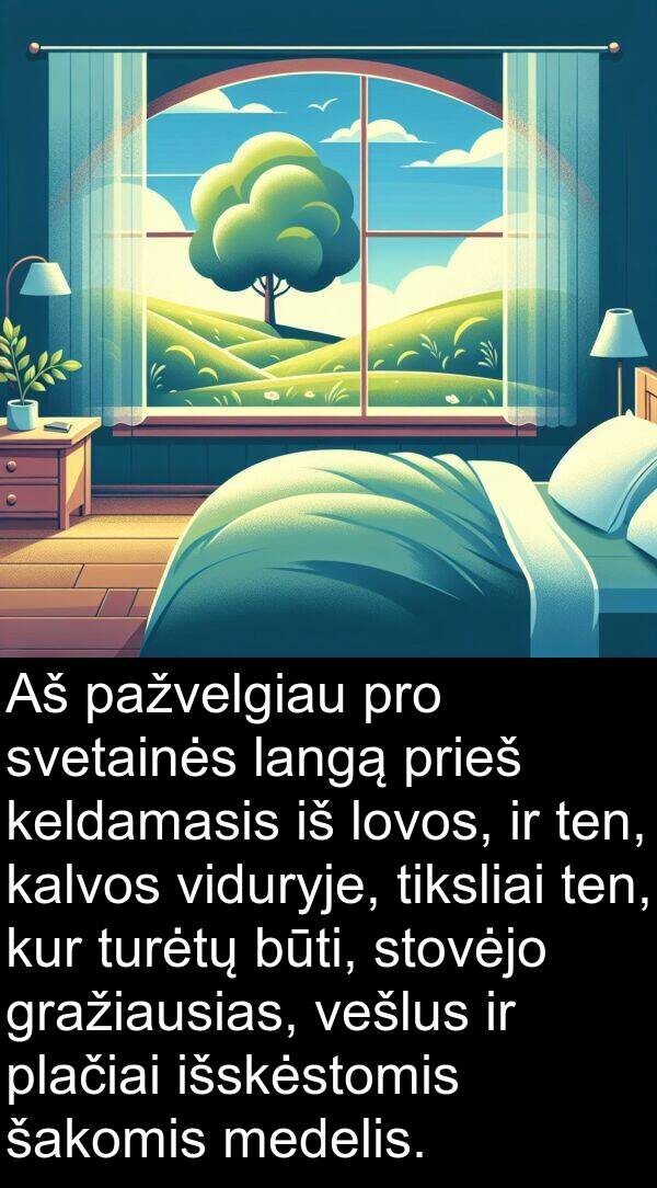 šakomis: Aš pažvelgiau pro svetainės langą prieš keldamasis iš lovos, ir ten, kalvos viduryje, tiksliai ten, kur turėtų būti, stovėjo gražiausias, vešlus ir plačiai išskėstomis šakomis medelis.