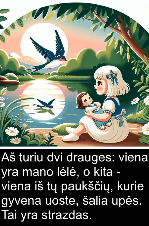 turiu: Aš turiu dvi drauges: viena yra mano lėlė, o kita - viena iš tų paukščių, kurie gyvena uoste, šalia upės. Tai yra strazdas.