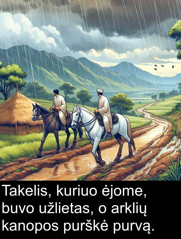 ėjome: Takelis, kuriuo ėjome, buvo užlietas, o arklių kanopos purškė purvą.