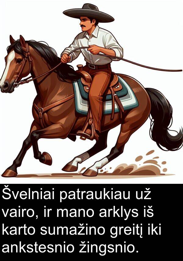 vairo: Švelniai patraukiau už vairo, ir mano arklys iš karto sumažino greitį iki ankstesnio žingsnio.