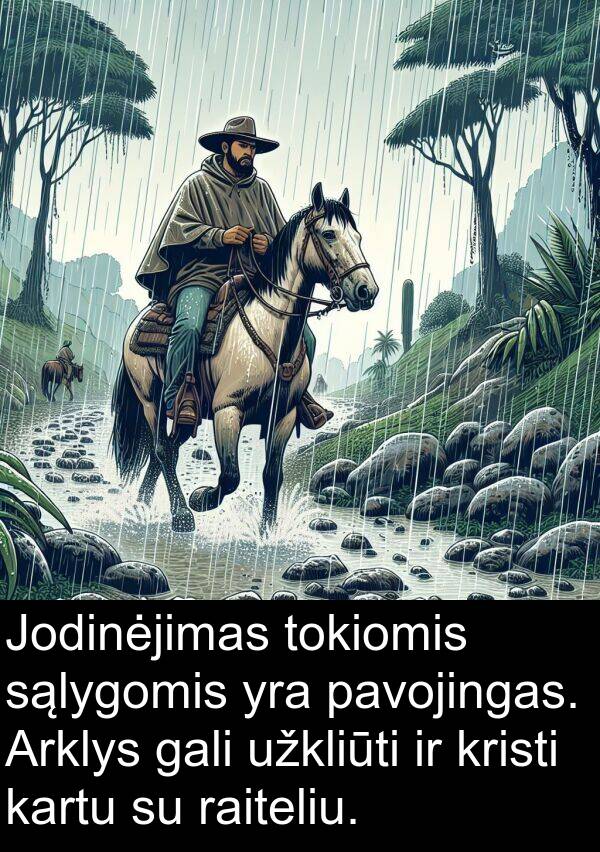 sąlygomis: Jodinėjimas tokiomis sąlygomis yra pavojingas. Arklys gali užkliūti ir kristi kartu su raiteliu.