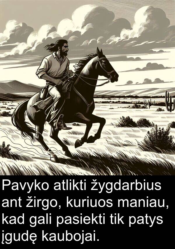 maniau: Pavyko atlikti žygdarbius ant žirgo, kuriuos maniau, kad gali pasiekti tik patys įgudę kaubojai.