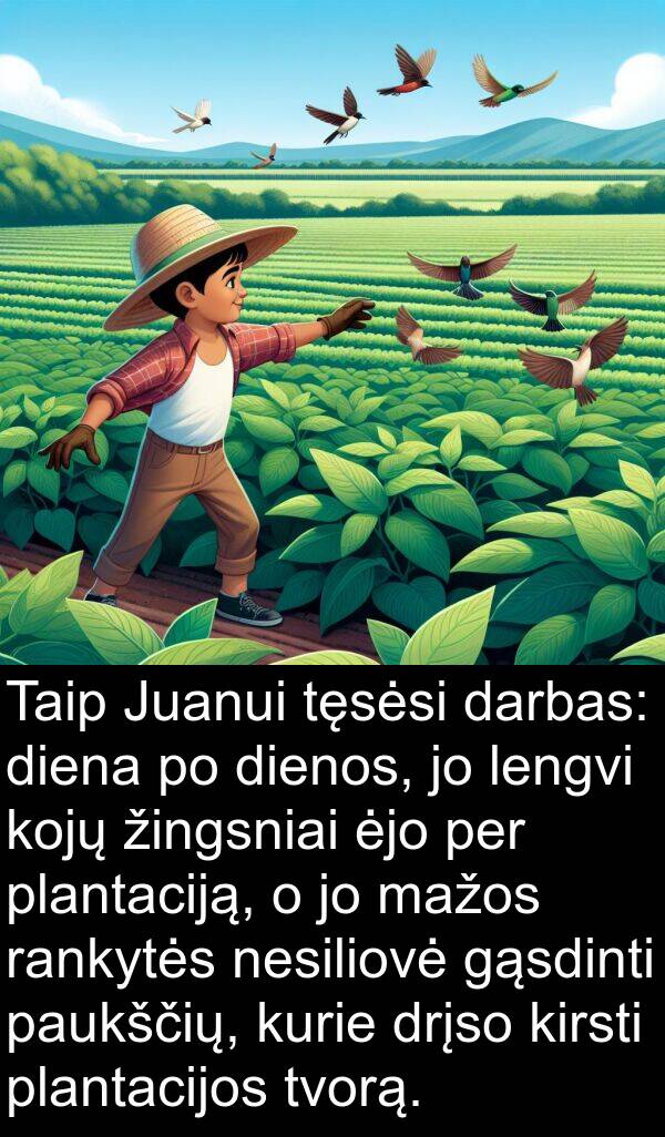 darbas: Taip Juanui tęsėsi darbas: diena po dienos, jo lengvi kojų žingsniai ėjo per plantaciją, o jo mažos rankytės nesiliovė gąsdinti paukščių, kurie drįso kirsti plantacijos tvorą.