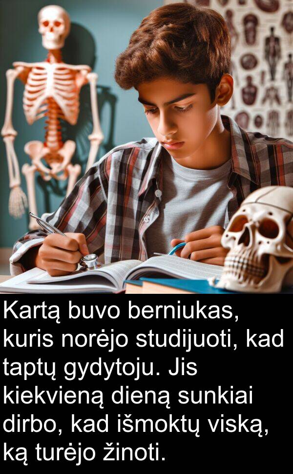 studijuoti: Kartą buvo berniukas, kuris norėjo studijuoti, kad taptų gydytoju. Jis kiekvieną dieną sunkiai dirbo, kad išmoktų viską, ką turėjo žinoti.