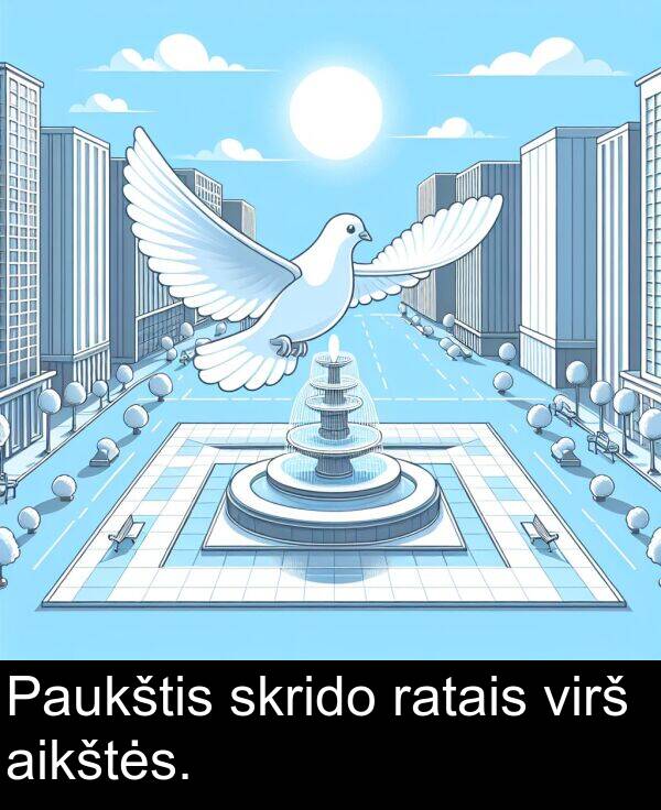 aikštės: Paukštis skrido ratais virš aikštės.