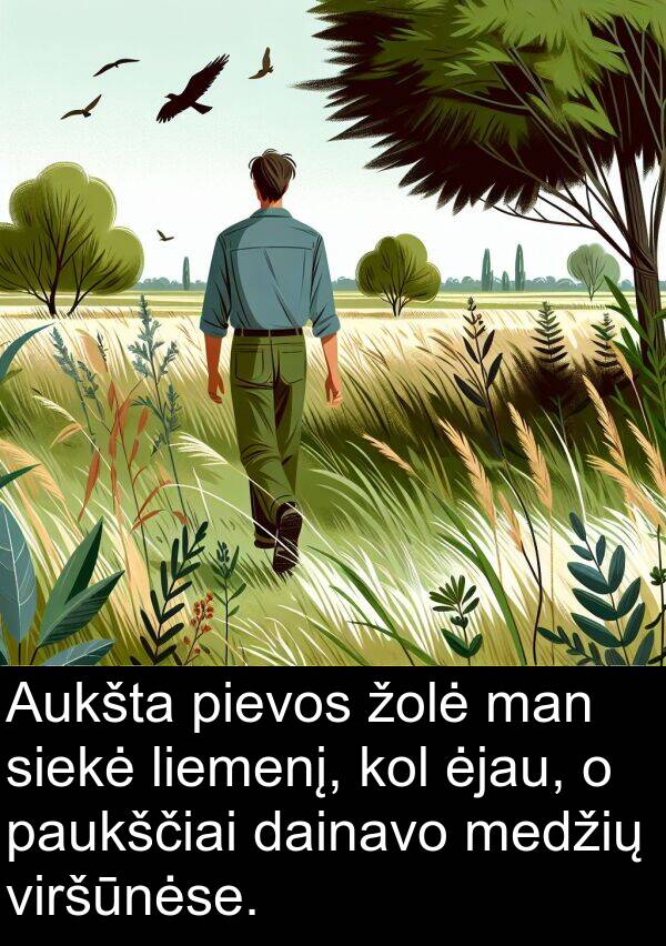 ėjau: Aukšta pievos žolė man siekė liemenį, kol ėjau, o paukščiai dainavo medžių viršūnėse.