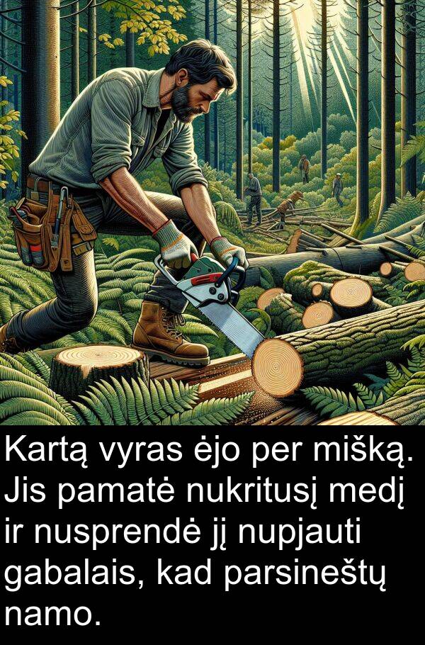 namo: Kartą vyras ėjo per mišką. Jis pamatė nukritusį medį ir nusprendė jį nupjauti gabalais, kad parsineštų namo.