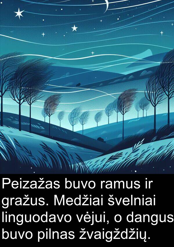 dangus: Peizažas buvo ramus ir gražus. Medžiai švelniai linguodavo vėjui, o dangus buvo pilnas žvaigždžių.