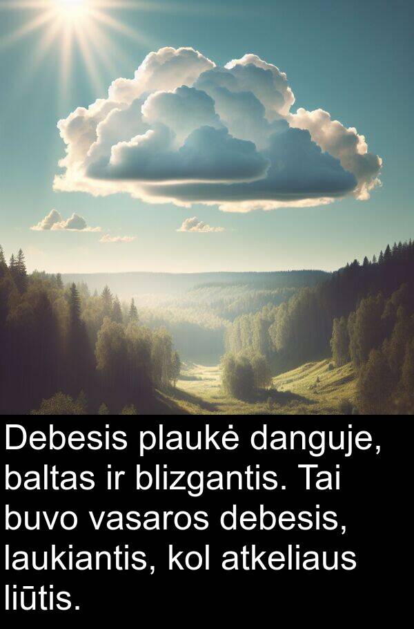 vasaros: Debesis plaukė danguje, baltas ir blizgantis. Tai buvo vasaros debesis, laukiantis, kol atkeliaus liūtis.